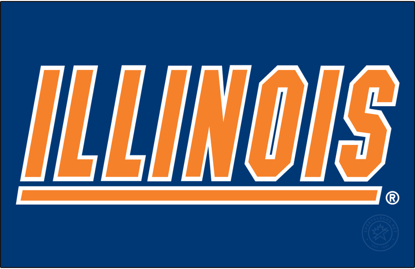 Illinois Fighting Illini 1995-2014 Primary Dark Logo v2 DIY iron on transfer (heat transfer)